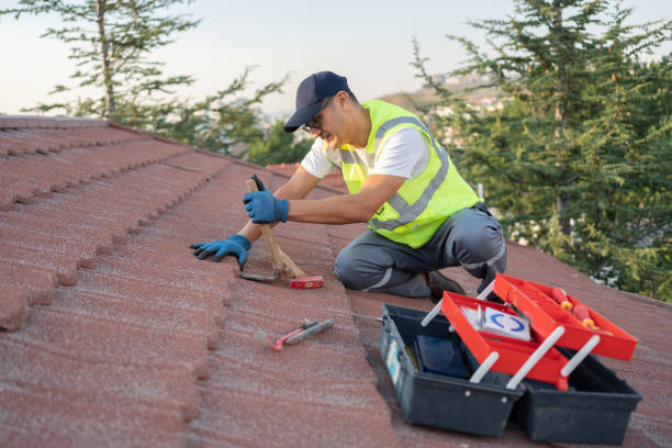 Best Gutter Installation and Roofing  in Five Corners, WA